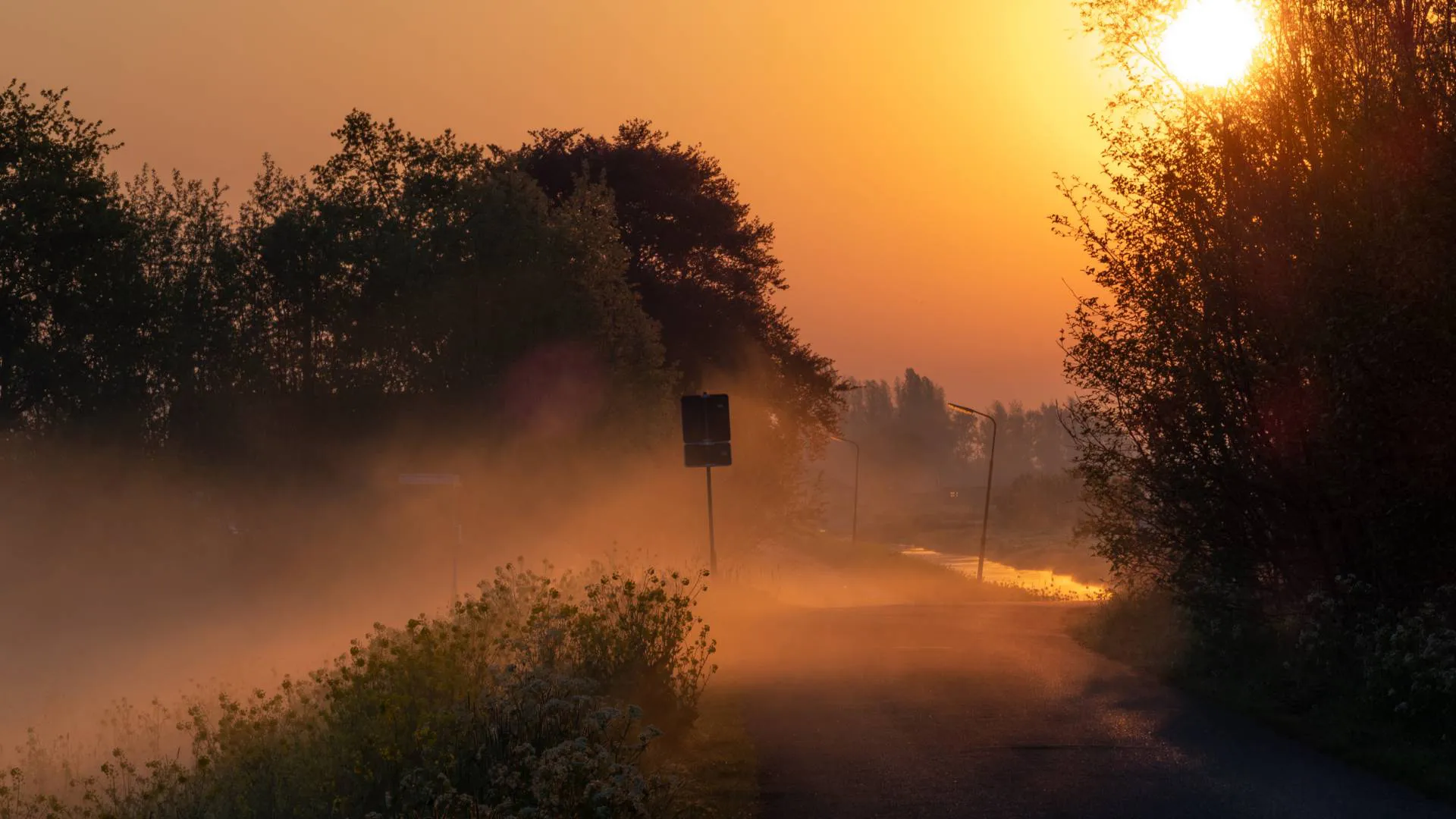 Een vroege zon op de Bethunepolder, 22 april 2019