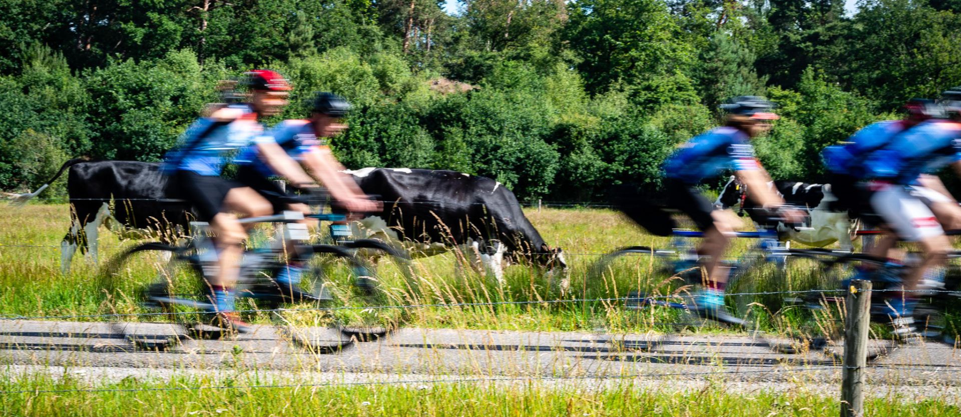 Carbon committed op de fiets voor het klimaat