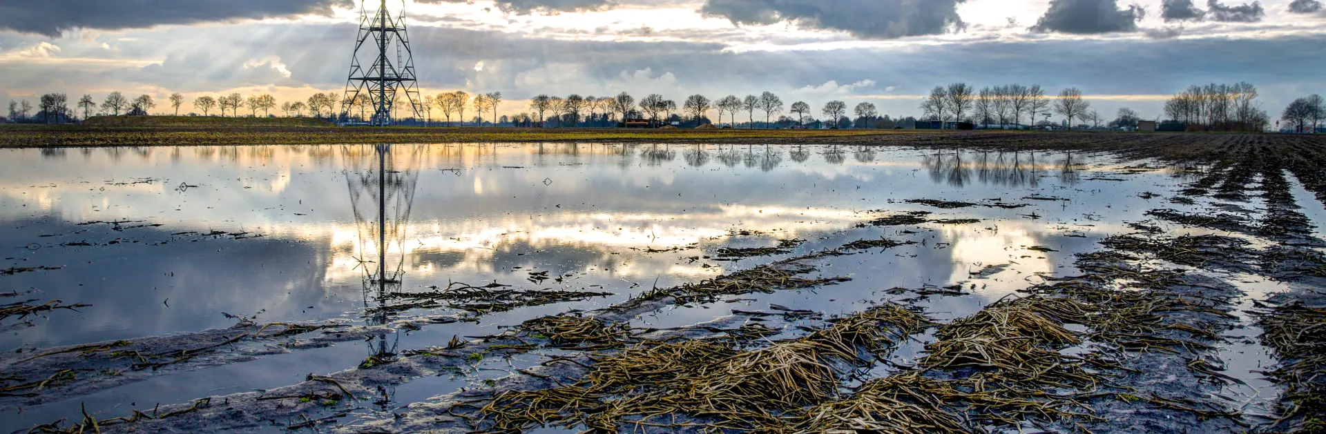 banner ondergelopen veld Groningen.