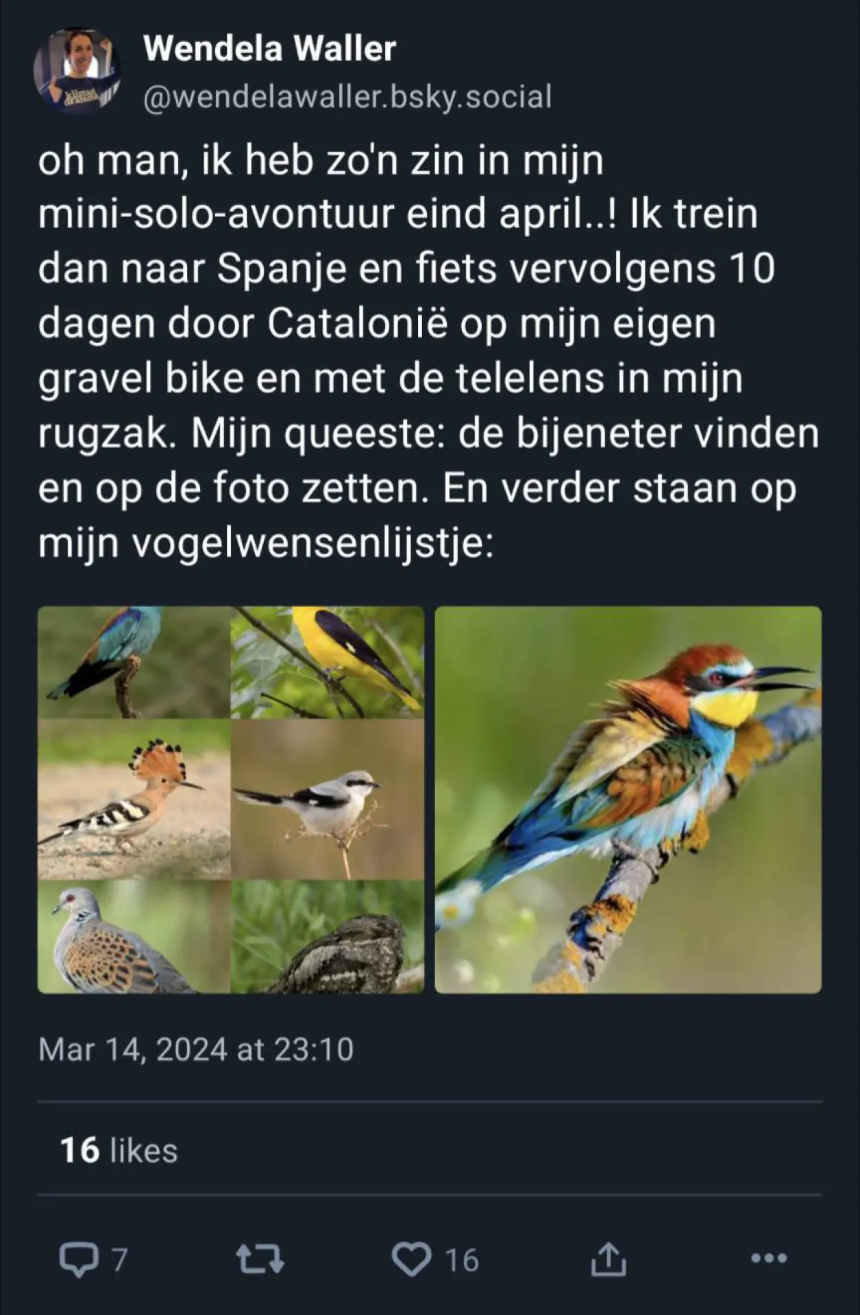 14 maart op Bluesky