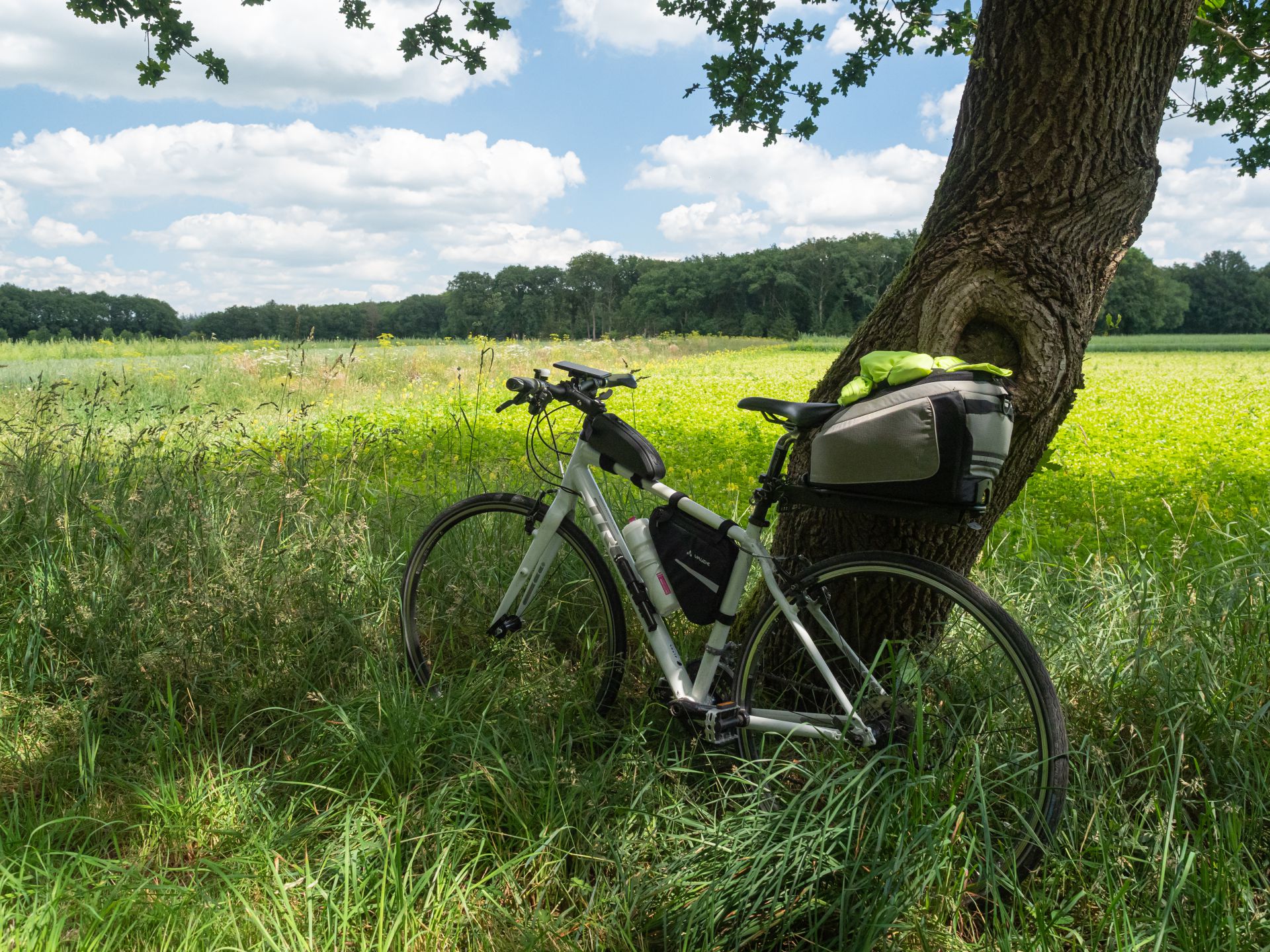 Mijn fiets bij Land van Ons, Hooghalen