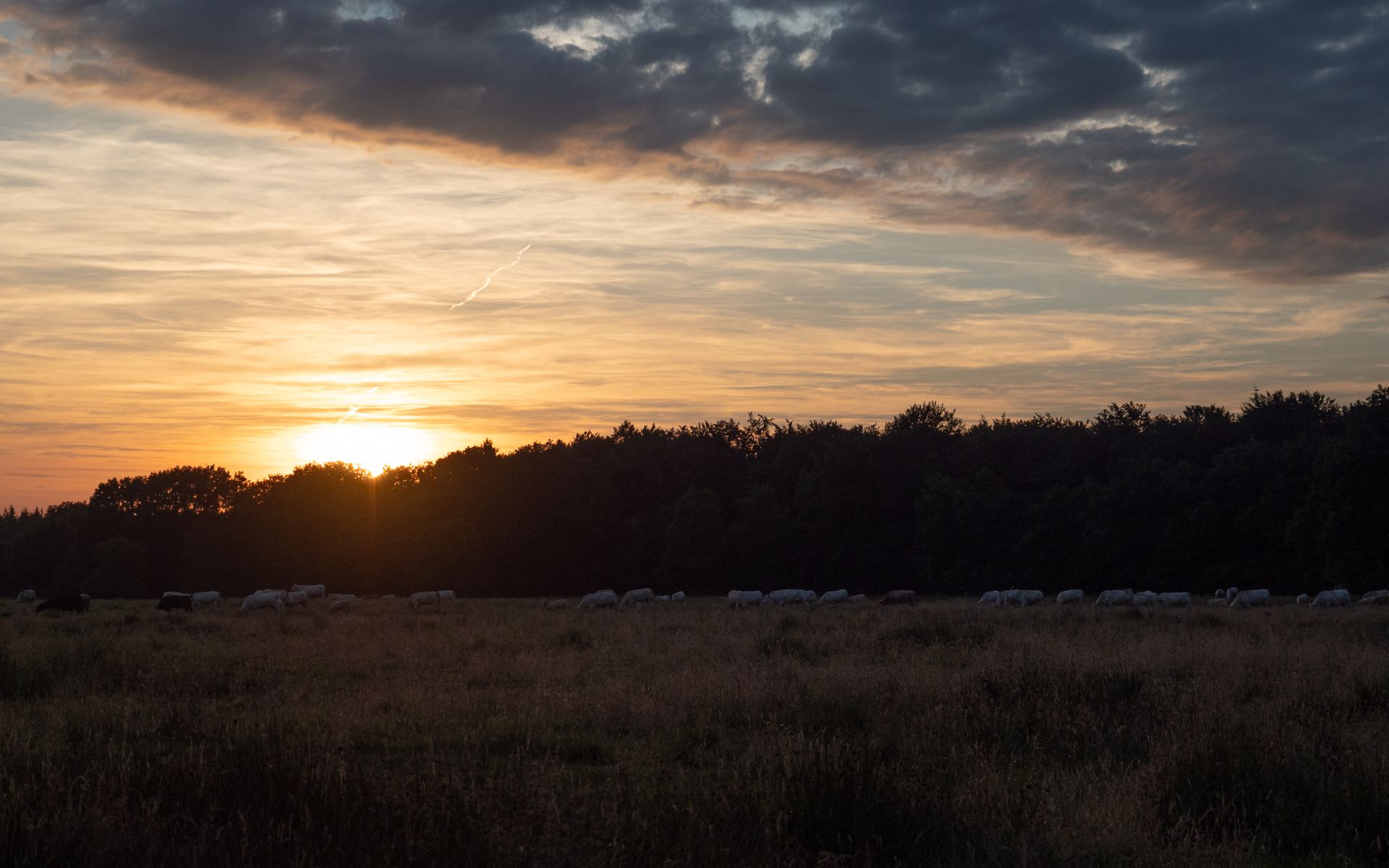 Zonsondergang fotograferen